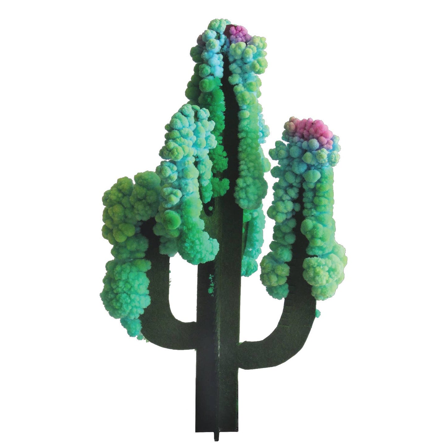 Science Kit - Crystal Growing Saguaro Cactus | Craft Kit