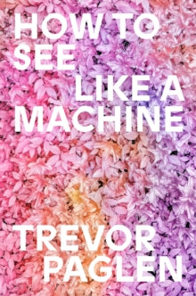 How to See Like a Machine: Images After AI