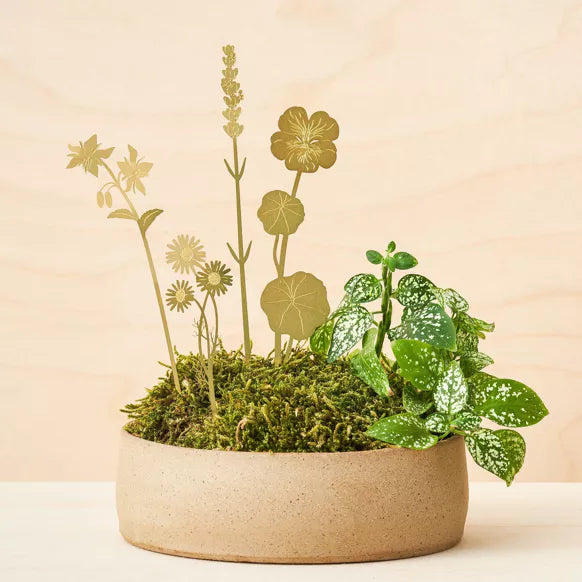 Brass and Steel Plant Decorations