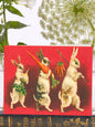 Rabbits go Wandering
