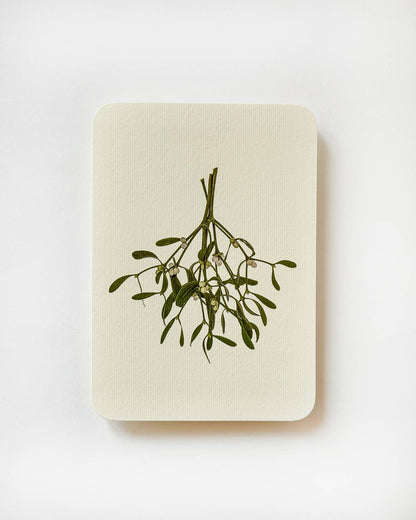 Mistletoe