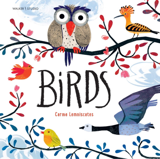 Birds-9781529524284