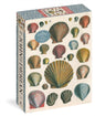 John Derian Paper Goods: Shells 1,000-Piece Puzzle-9781648291777