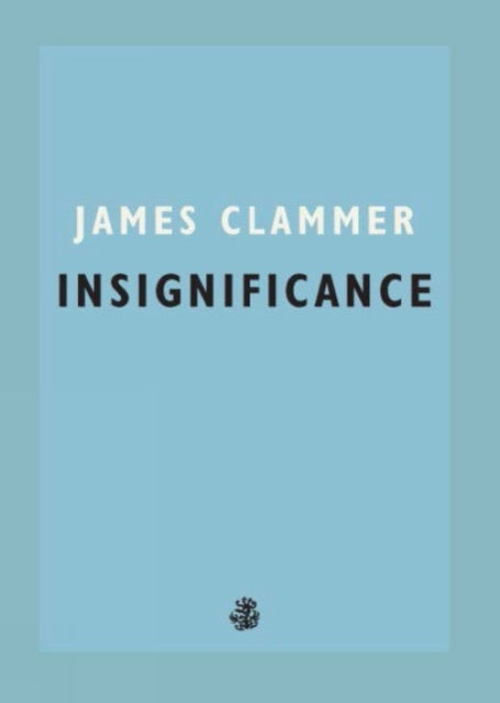 Insignificance-9781913111069