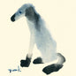 Disappointed Dog