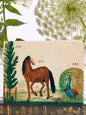 Tree, Horse, Peacock